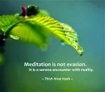 thich-nhat-hanh-meditation-quote