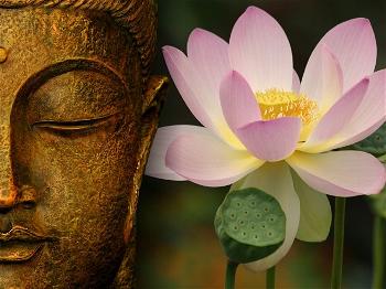 buddha